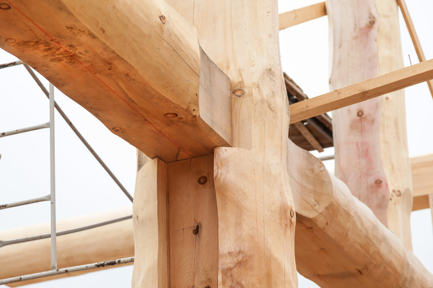 Магула. Истории