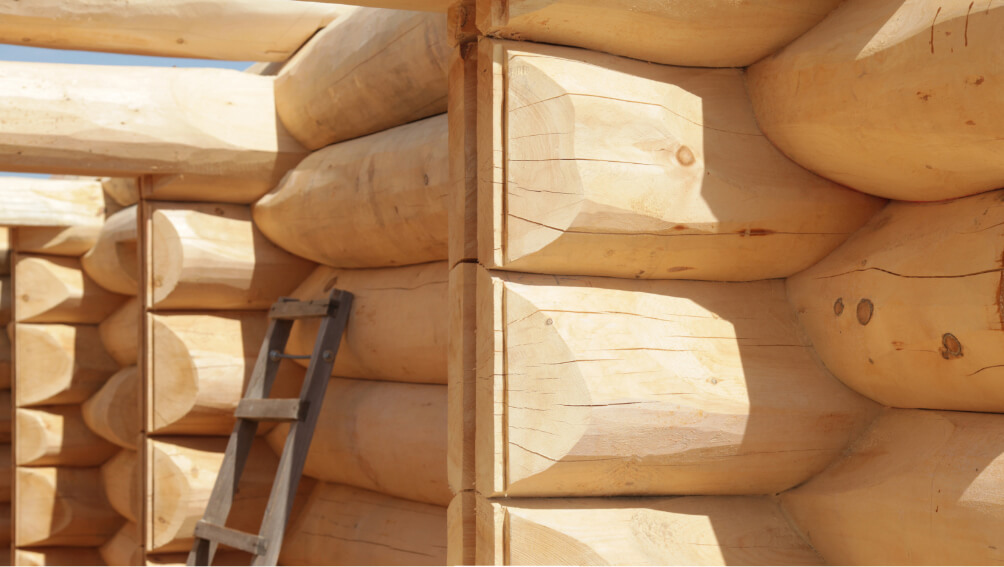 Работаем с кедром