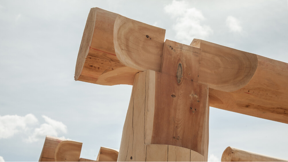 Работаем с кедром